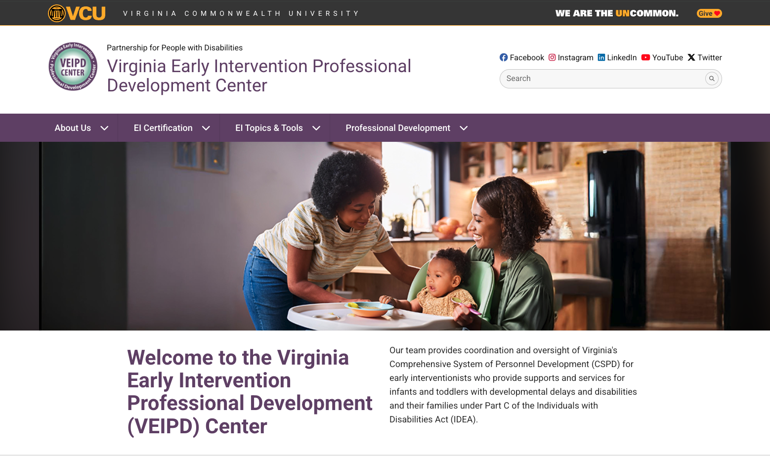 VEIPD Website Screenshot